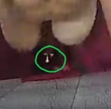 1738365337739572