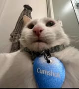 cum