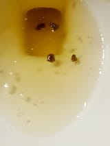 IMG_20250803_054143