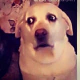 o o