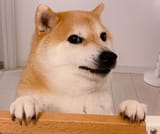 1754244366748575