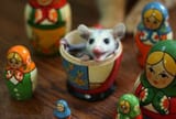 IMG_20250804_012725_316
