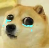 cry