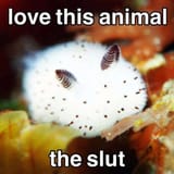 the slut