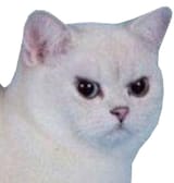 angery