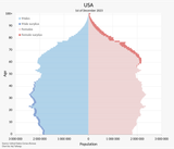 USA_Population_Pyramid.svg-1