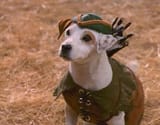 wishbone_3