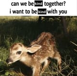 Thread 82076150 OP Image