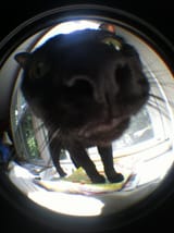 1618870784771