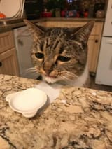 drinking milk gone wrong