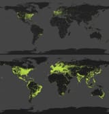 internet usage 2013 vs 2025