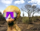 Ayy shades