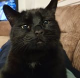 My boy