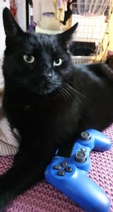My lovely wee boy