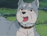 gin