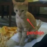 0FE46852-44C6-4D61-B8CB-57F724A7E76B