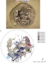General-view-of-pit-157-a-and-plan-of-the-complete-or-almost-complete-bodies-b