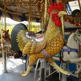 fowl roundabout