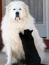 IMG_20250805_181854_407