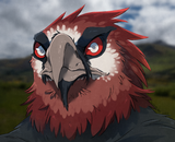 kenku-design-for-a-friend-inspired-by-the-bearded-vulture-v0-c8w2d7q8lava1