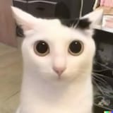 9df7d990d56001b223b94fce634c2fc5