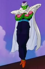 piccolo-arms-folded