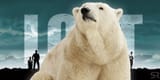 polar bear