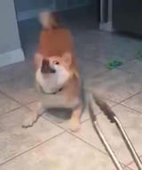 124947930