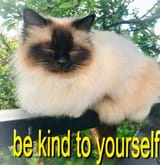 be kind