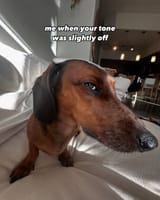 tone police