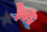 TX-county-results