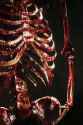 Mortal Kombat - Terminator skeleton smoking meme_thumb.jpg