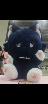 SCAWA CAT