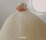 pathetic