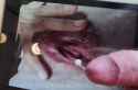 VID_20250809_113801115_thumb.jpg