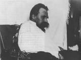 depressed nietzsche