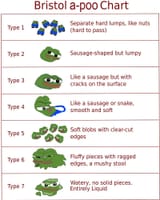 apoochart