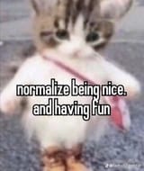 normalise beingn ice
