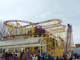 Wild Mouse