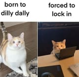 dilly dally