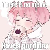 there is no meme