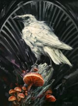 white-raven