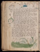voynich16d