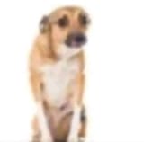 d8d734c3f2b43a9c7dab3d46807f756f