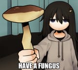 16587932