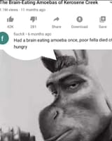 Thread 82184454 OP Image