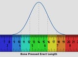 new_length_chart