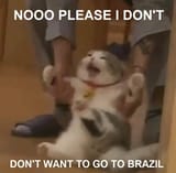 brazil