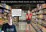 Thread 82179562 OP Image
