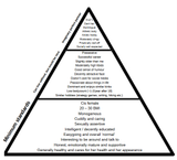 partner pyramid